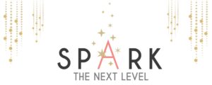 Spark - the next level conference
