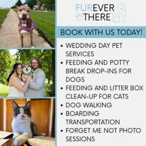 Furever There member marketplace (1)