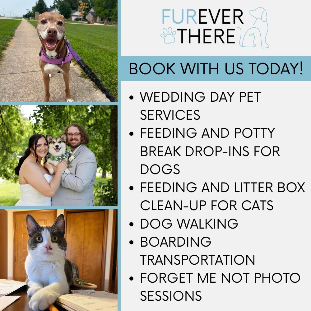 Furever There member marketplace (1) Furever There member marketplace (1)