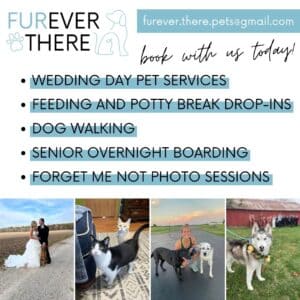 furever there llc - pet services image